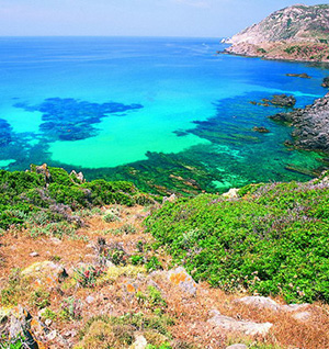 Asinara: Tratto di costa
