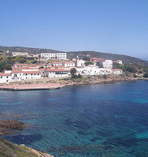 Asinara: Cala d'Oliva